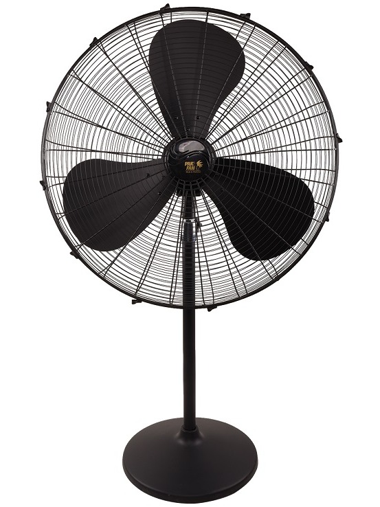 Stand Fans